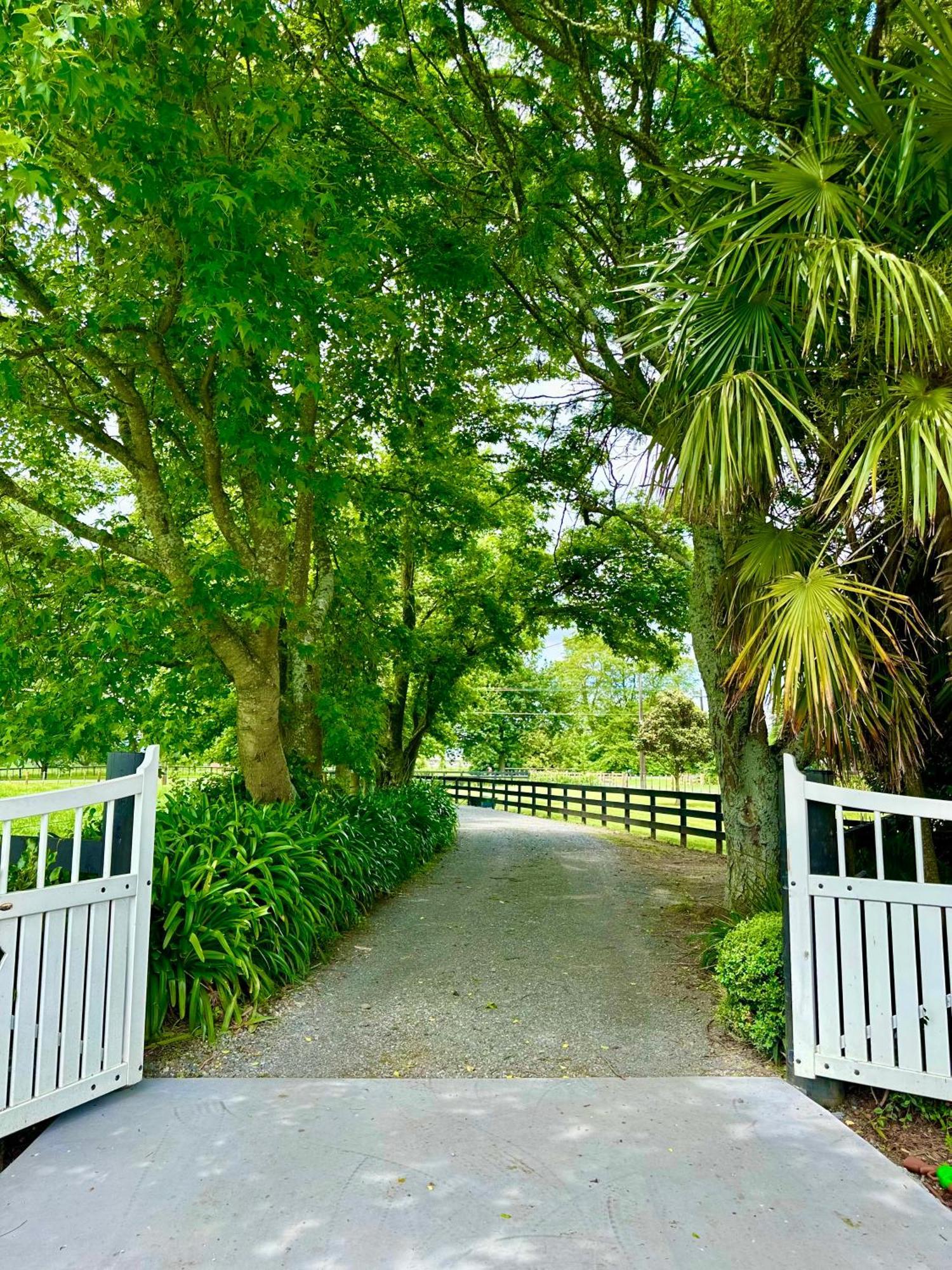 Matamata Country B&B Kültér fotó